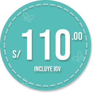 Precio Normal 110